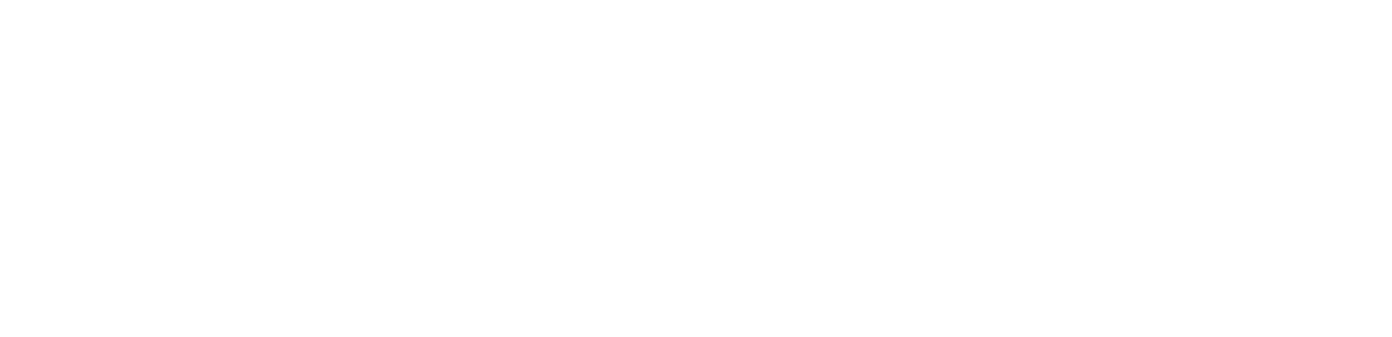 ORIGO_Logo_White